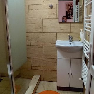 Cabana Lui Lemu Avram Iancu (3)