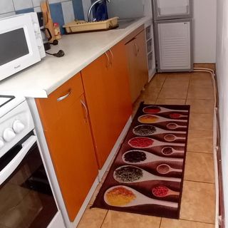 Cabana Lui Lemu Avram Iancu (4)