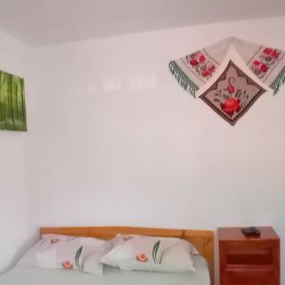 Cabana Lui Lemu Avram Iancu (5)