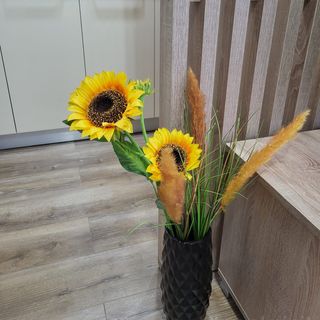 Studio Natalia Sinaia (2)