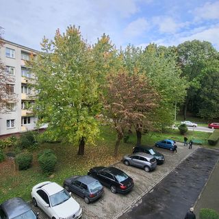 Apartament przy Parku Saskim (600 metrów od Ratusza, Sandomierz) (5)