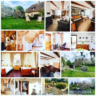 OAZA POD STRZECHĄ Ustronie Morskie (5)