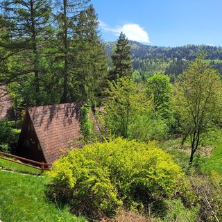 Leśne Domki Wisła (4)