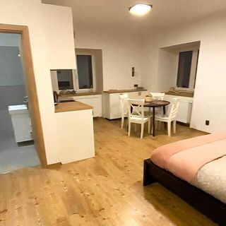 Apartmán Lindr Staré Buky (5)