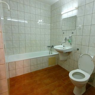 Holenský dvůr Ratiboř (5)