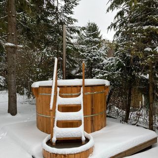 Cabana Evergreen Băile Balvanyos (4)