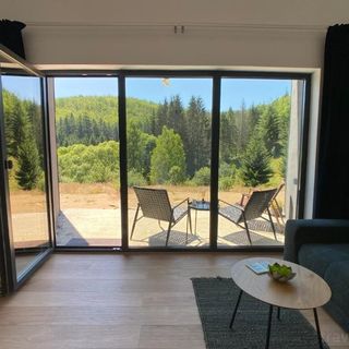 Nest in Gărâna - Cardinal House (3)