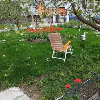 Căsuța Bunicilor Dorna Candrenilor (2)