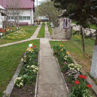 Căsuța Bunicilor Dorna Candrenilor (3)