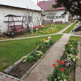 Căsuța Bunicilor Dorna Candrenilor (4)