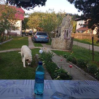 Căsuța Bunicilor Dorna Candrenilor (5)