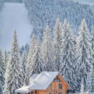 Cabana BellaMonte Vârtop (2)