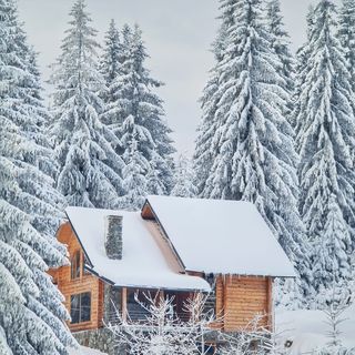 Cabana BellaMonte Vârtop (3)