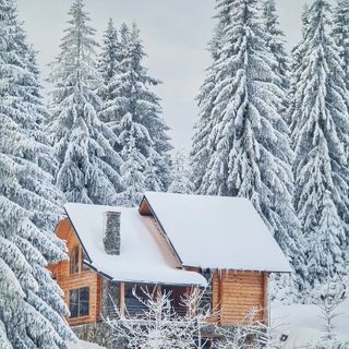 Cabana BellaMonte Vârtop (3)