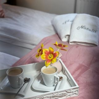 Pensjonat Natalii Kudowa-Zdrój (5)