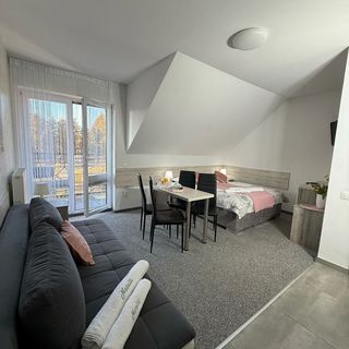 Pensjonat Natalii Kudowa-Zdrój (3)