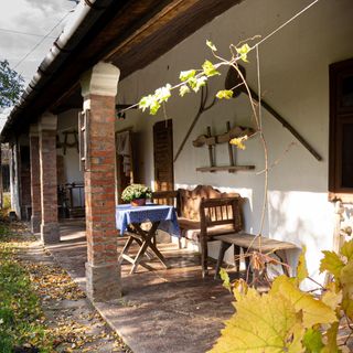 Nagymamám Háza Tiszaszőlős (2)