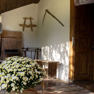 Nagymamám Háza Tiszaszőlős (5)