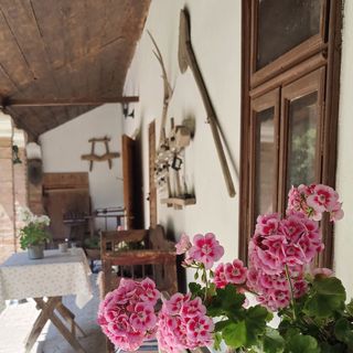 Nagymamám Háza Tiszaszőlős (4)