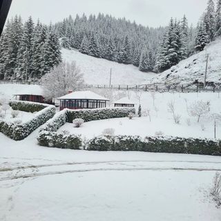 Pensiunea Agroturistică Elena Drăgoiasa (4)