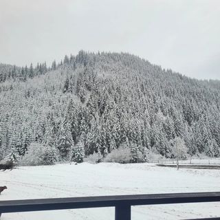 Pensiunea Agroturistică Elena Drăgoiasa (5)