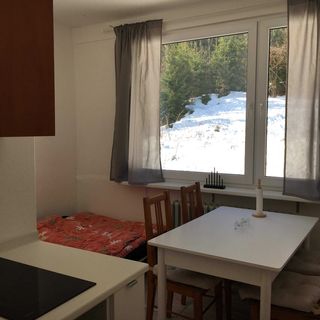 Apartmány Špičák Jiřetín pod Bukovou (4)