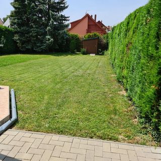 Balázs Apartman Zalakaros (4)