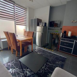 741 Slate Apartament Jedlina - Zdrój (2)