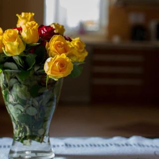 Hostel Rest Kraków (4)