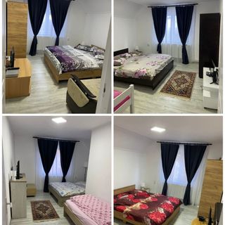 Cabana Muntenilor (4)