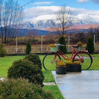 Casa Sofia Călimăneşti (5)