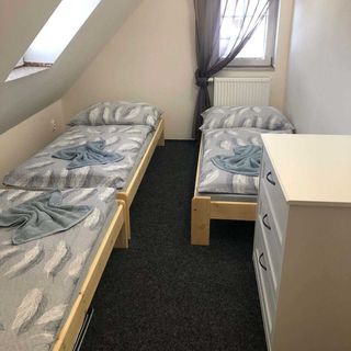 Chalupa a apartmány pod Krásnou Máří Raspenava (2)