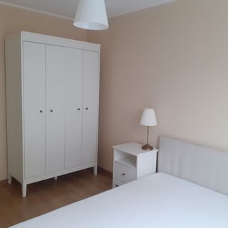 Kaktusowe dwa pokoje Wejherowo (2)