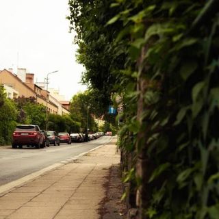 Bon Ton Szczecin (5)