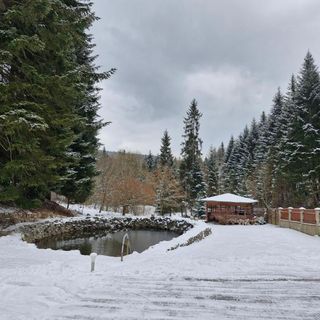 Rodzinny Dom Wypoczynkowy Grzechynia Carchla (5)