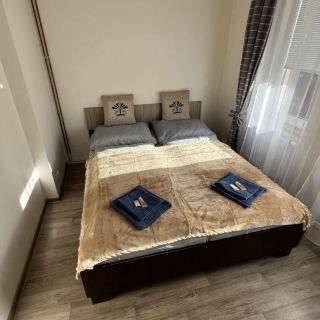 Apartments Carlsbad Karlovy Vary (5)