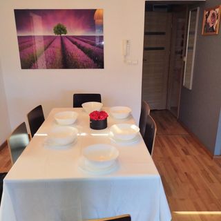 Apartament pod Dzikim Kotem (2)