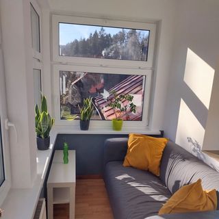 Apartament pod Dzikim Kotem (3)