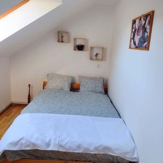 Apartament pod Dzikim Kotem (4)