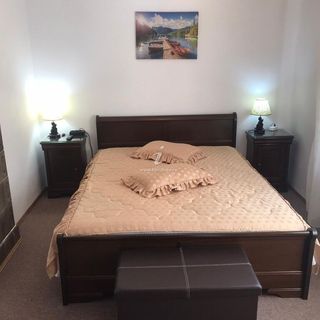 Apartament Mikha Sinaia (3)
