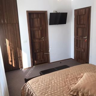 Apartament Mikha Sinaia (5)