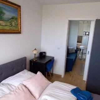 Apartament z przepięknym widokiem, blisko starówki, plaży Gdańsk (4)