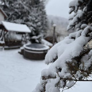 Villa Garden Băile Balvanyos (2)