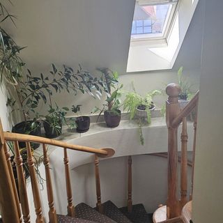 Pokoje Gościnne U Basi Korzeniowskiego Kołobrzeg (5)