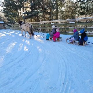 Zagroda Studzienno- Agroturystyka Studzienno (5)