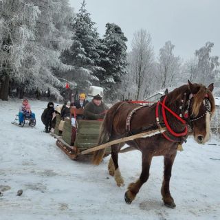 Zagroda Studzienno- Agroturystyka Studzienno (4)