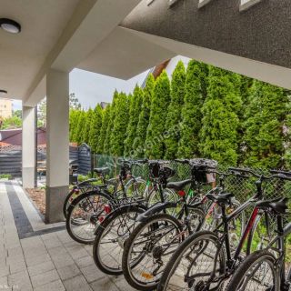 Apartamenty Dziki Zakątek Krynica Morska (3)