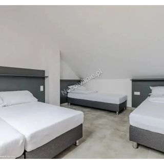 Apartamenty Dziki Zakątek Krynica Morska (5)