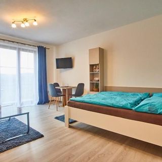 Apartmán Jasmin II Brloh (3)