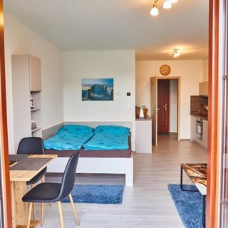 Apartmán Jasmin II Brloh (5)